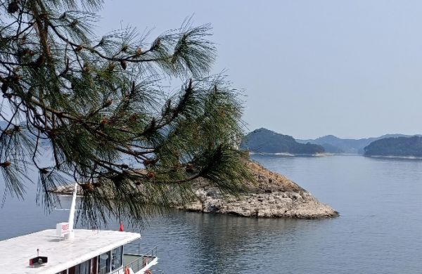 “空白效應(yīng)”帶給婚姻的保鮮作用