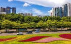 情義無價3：加代打了小迪