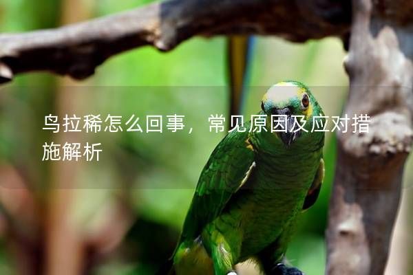 鳥拉稀怎么回事，常見原因及應(yīng)對措施解析
