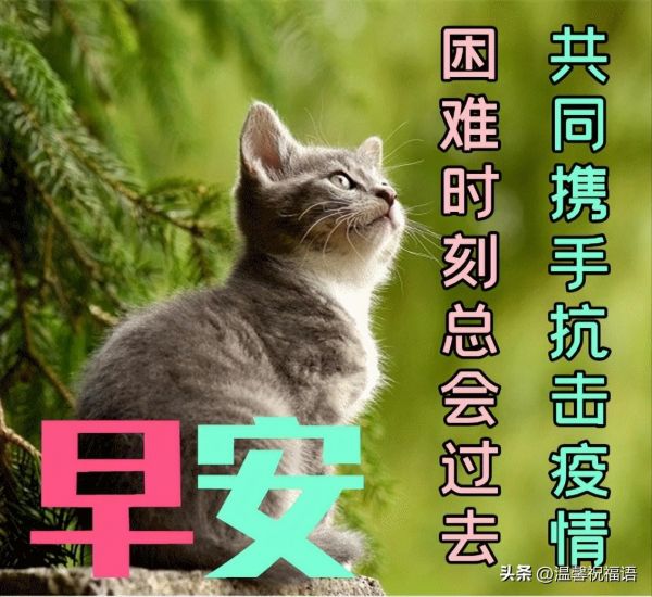 康五行屬什么的字