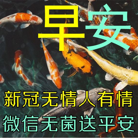 康五行屬什么的字