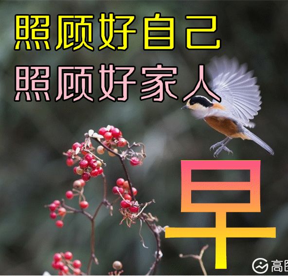 康五行屬什么的字