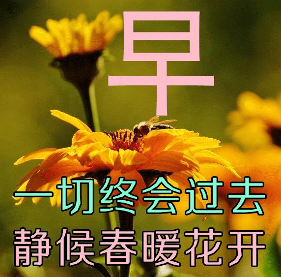 康五行屬什么的字