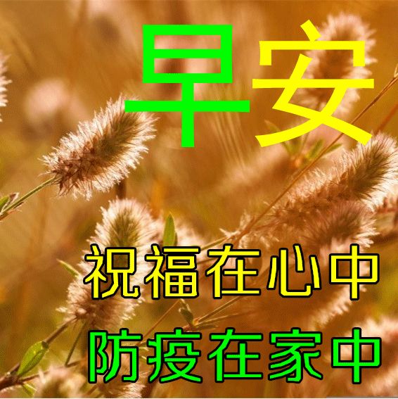 康五行屬什么的字