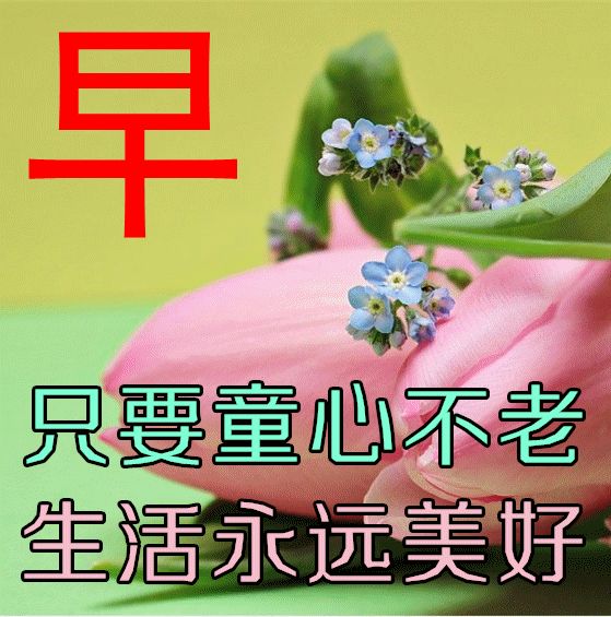 康五行屬什么的字