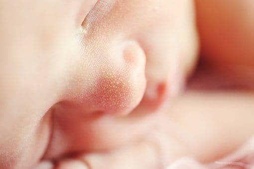 兔年農(nóng)歷十二月出生的女寶寶取名