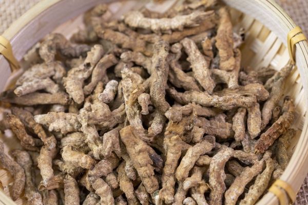 蠶蛹的功效與作用、禁忌和食用方法
