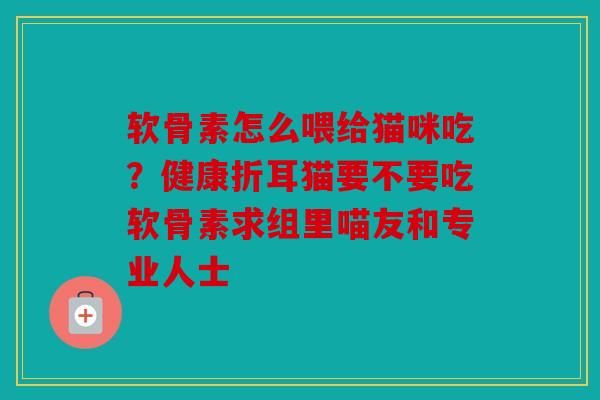 软骨素怎么喂给猫咪吃？健康折耳猫要不要吃软骨素求组里喵友和专业人士