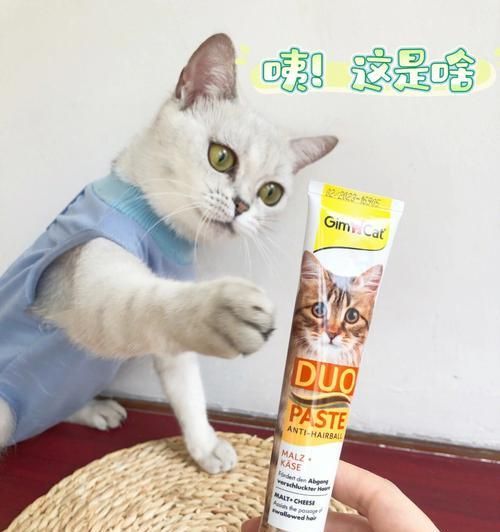 小貓化毛膏應該何時開始喂（寵物健康-化毛膏）