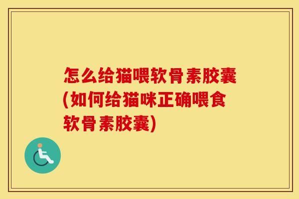 怎么給貓喂軟骨素膠囊(如何給貓咪正確喂食軟骨素膠囊)