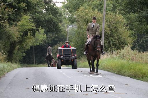 健康证在手机上怎么查