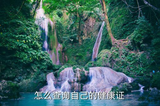 怎么查询自己的健康证