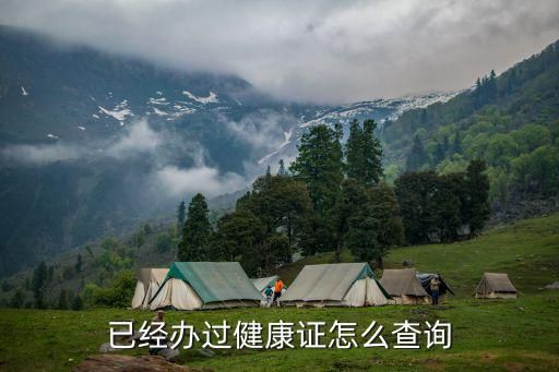 已经办过健康证怎么查询