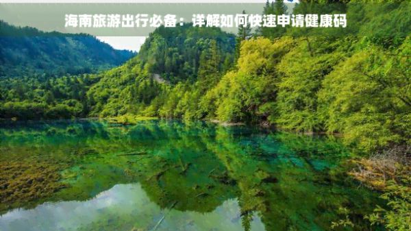 海南旅游出行必备：详解如何快速申请健康码