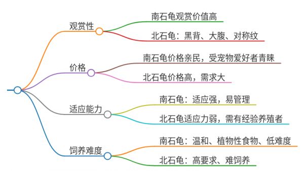 南石龟和北石龟哪个好