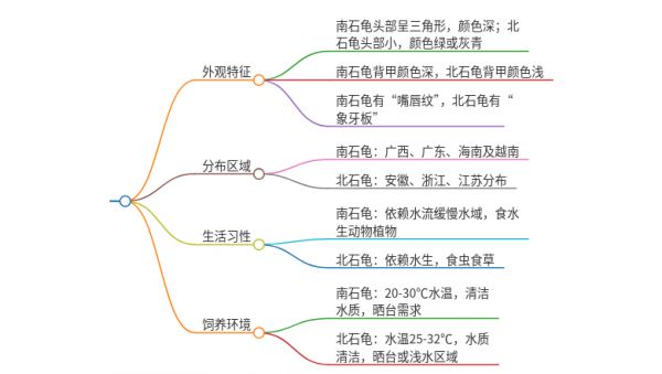 小青龟南石和北石区别