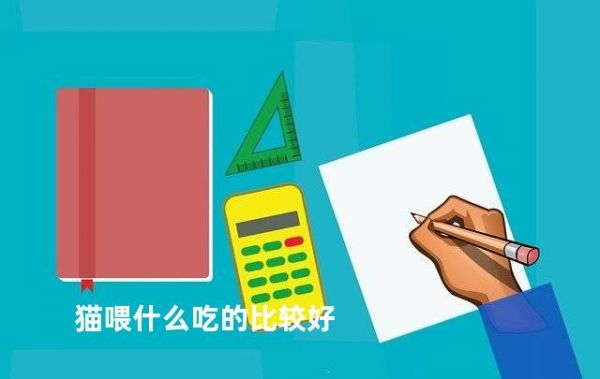 猫喂什么吃的比较好