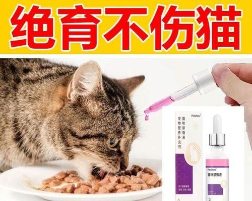 貓咪飲食搭配大全——為你的愛(ài)寵提供全面營(yíng)養(yǎng)（貓咪飲食要點(diǎn)）