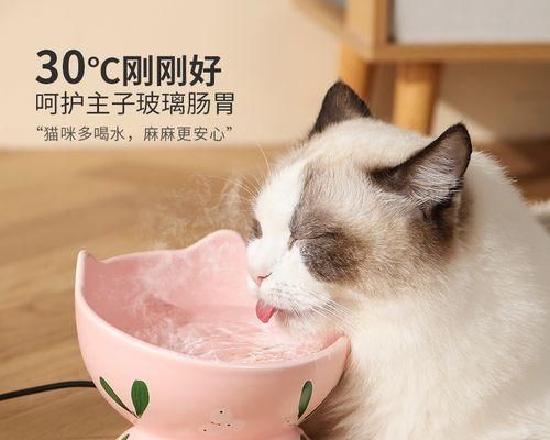 貓咪飲食搭配大全——為你的愛(ài)寵提供全面營(yíng)養(yǎng)（貓咪飲食要點(diǎn)）