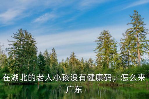 在湖北的老人小孩没有健康码，怎么来广东