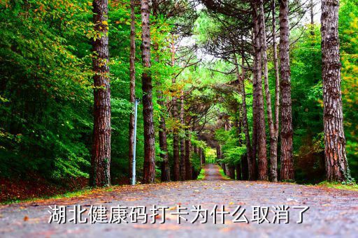 湖北健康碼打卡為什么取消了