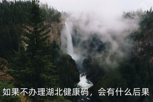 如果不辦理湖北健康碼，會有什么后果