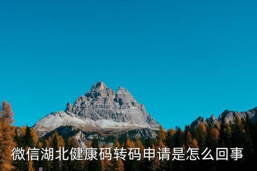 微信湖北健康碼轉(zhuǎn)碼申請是怎么回事