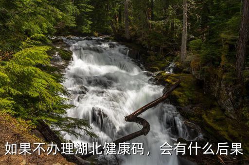 如果不辦理湖北健康碼，會(huì)有什么后果