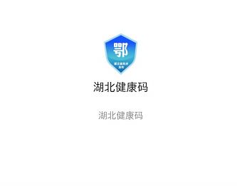 湖北健康碼打不開怎么回事 湖北健康碼怎么一直灰色
