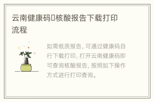 云南健康碼?核酸報告下載打印流程