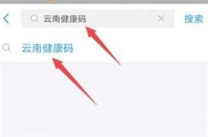 云南健康码怎么申请 支付宝云南健康码怎么申请截图