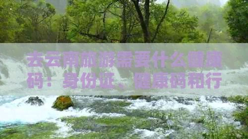 去云南旅游需要什么健康码：身份证、健康码和行程码