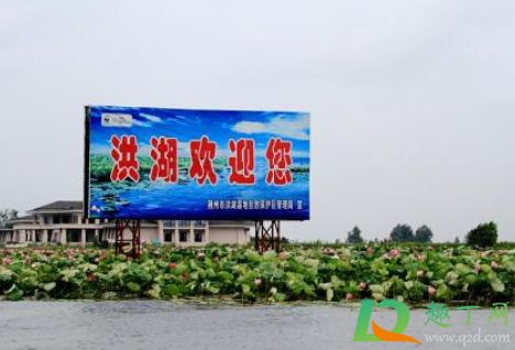 健康碼可以進別的小區(qū)嗎 健康碼可以進出任何小區(qū)嗎