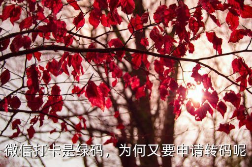 微信打卡是綠碼，為何又要申請轉(zhuǎn)碼呢