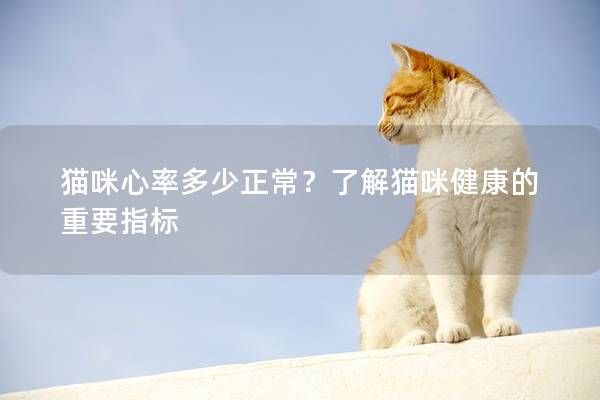 貓咪心率多少正常？了解貓咪健康的重要指標