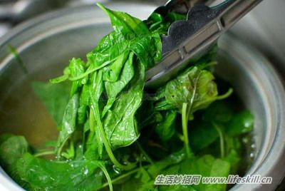 “炒青菜”和“煮青菜”哪種吃更健康？