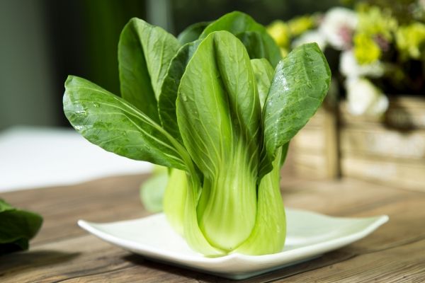 青菜的功效與作用、禁忌和食用方法