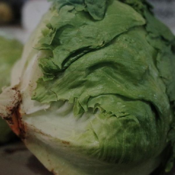 青菜的3種吃法 這么烹飪鎖住營養(yǎng)又健康
