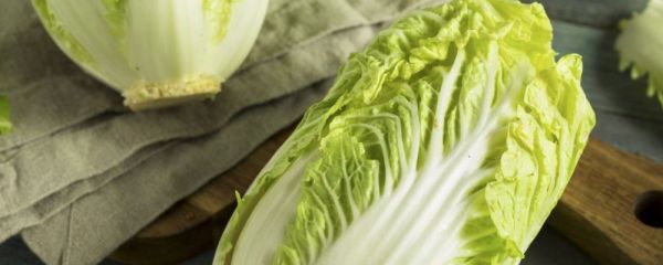 白菜的营养价值 白菜吃法 白菜怎么吃最有营养