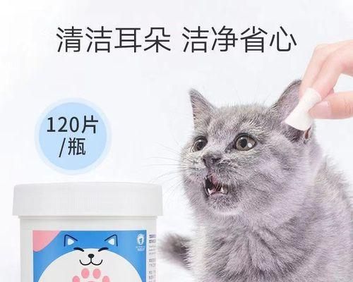 貓咪耳朵清潔指南（如何正確地清理貓咪耳朵）