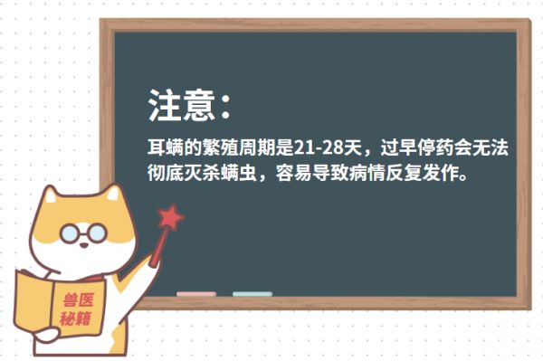 貓咪耳螨
