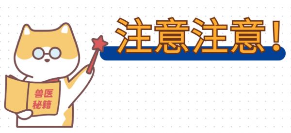 貓耳朵很臟怎么清理干凈