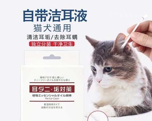 如何正確清洗貓咪耳朵（寵物保健必備）