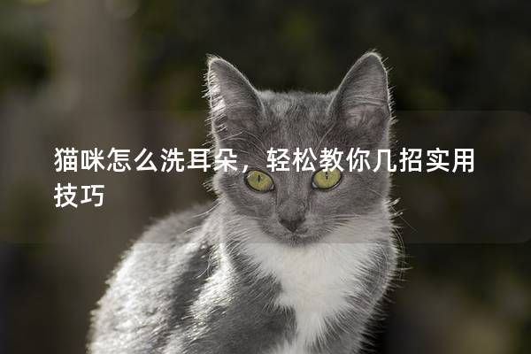 貓咪怎么洗耳朵，輕松教你幾招實(shí)用技巧