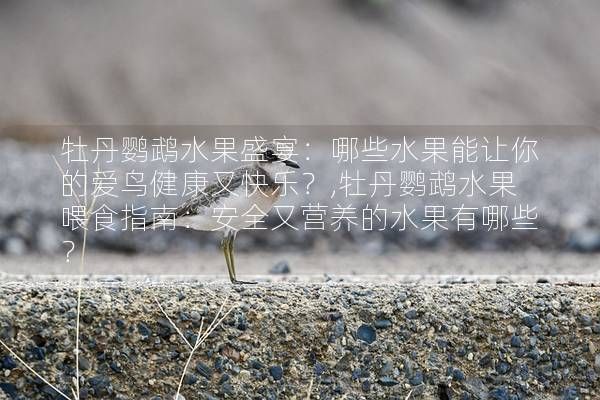 牡丹鹦鹉水果盛宴：哪些水果能让你的爱鸟健康又快乐？,牡丹鹦鹉水果喂食指南：安全又营养的水果有哪些？