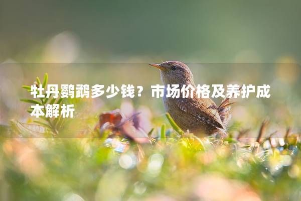 牡丹鸚鵡多少錢？市場(chǎng)價(jià)格及養(yǎng)護(hù)成本解析
