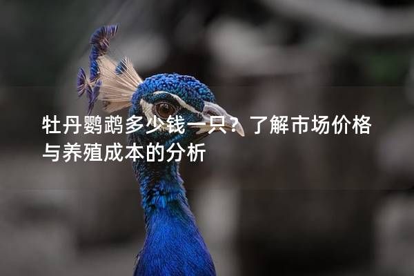 牡丹鹦鹉多少钱一只？了解市场价格与养殖成本的分析