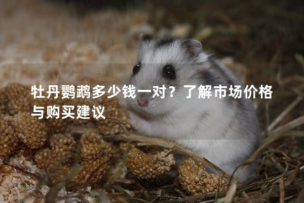 牡丹鹦鹉多少钱一对？了解市场价格与购买建议