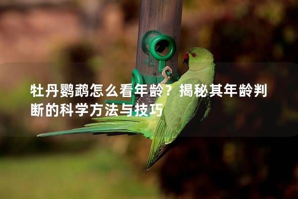 牡丹鸚鵡怎么看年齡？揭秘其年齡判斷的科學(xué)方法與技巧