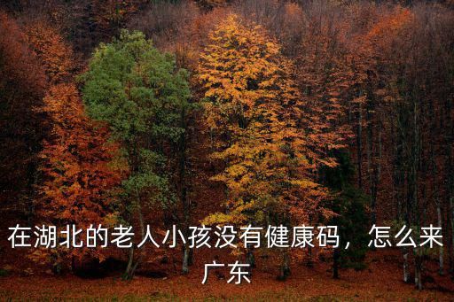 在湖北的老人小孩沒有健康碼，怎么來廣東